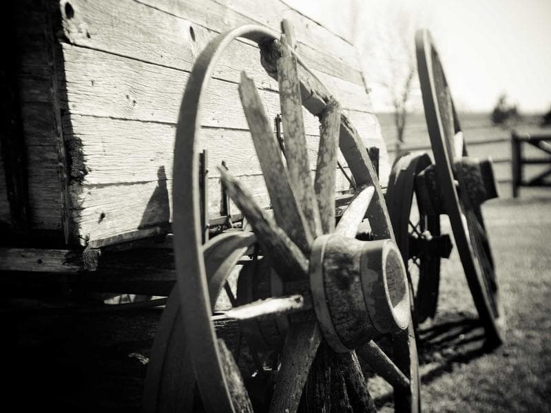 The Rise of AI in Competitive Gaming